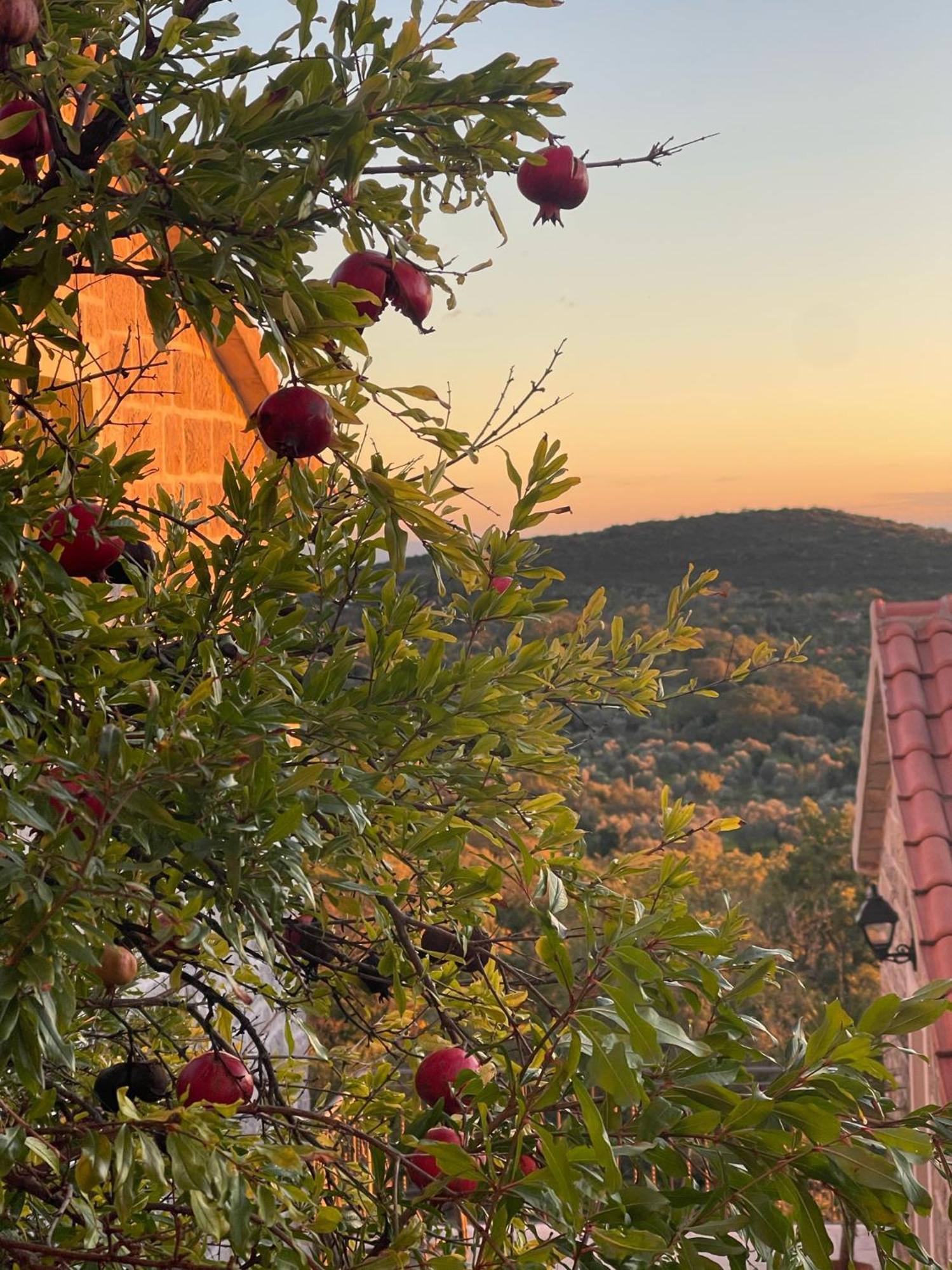 Klinci Village Resort Εξωτερικό φωτογραφία