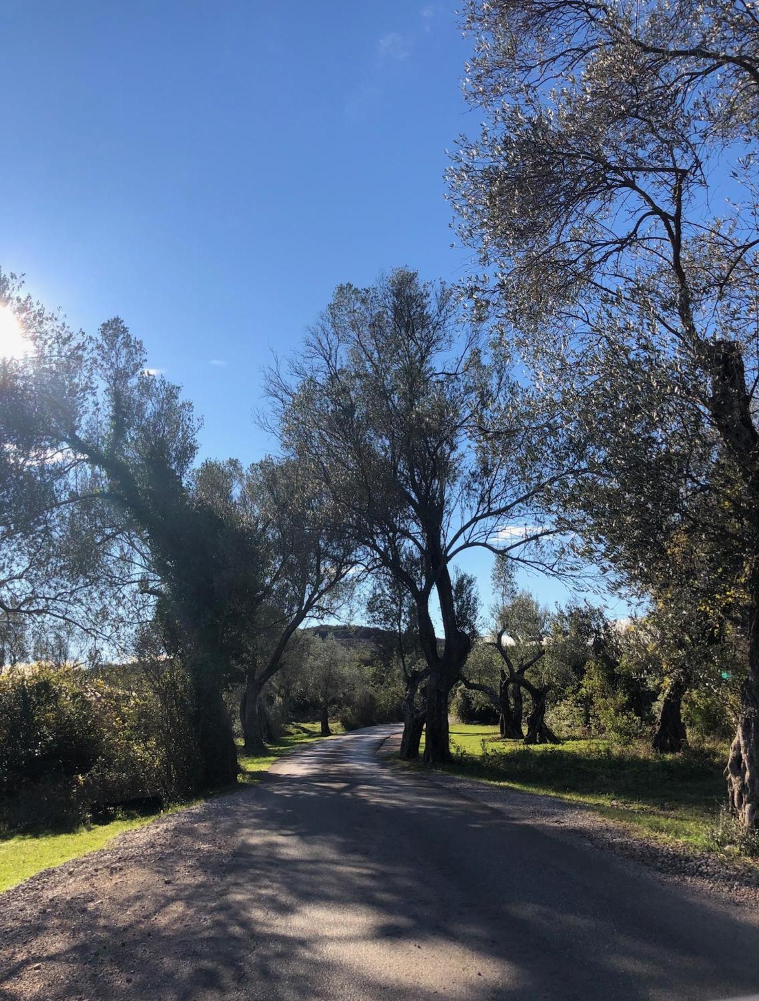 Klinci Village Resort Εξωτερικό φωτογραφία